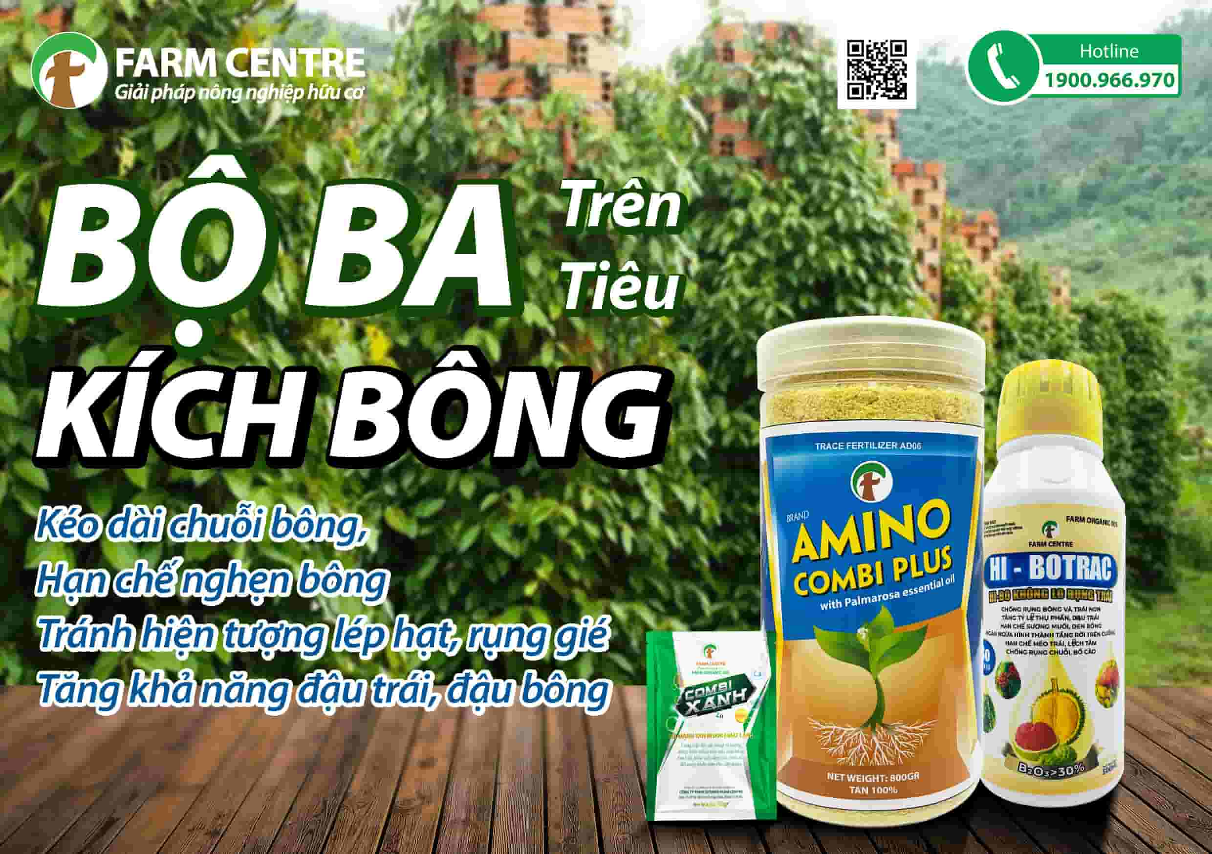 KỸ THUẬT KÍCH BÔNG TRÊN TIÊU